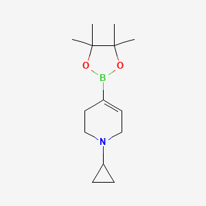 molecular formula C14H24BNO2 B3117995 1-环丙基-4-(4,4,5,5-四甲基-1,3,2-二氧杂硼烷-2-基)-1,2,3,6-四氢吡啶 CAS No. 2304631-68-1
