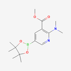 molecular formula C15H23BN2O4 B3118013 Methyl 2-(dimethylamino)-5-(4,4,5,5-tetramethyl-1,3,2-dioxaborolan-2-YL)nicotinate CAS No. 2304634-88-4