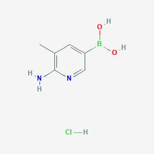 molecular formula C6H10BClN2O2 B3118016 6-氨基-5-甲基吡啶-3-硼酸盐酸盐 CAS No. 2304635-84-3