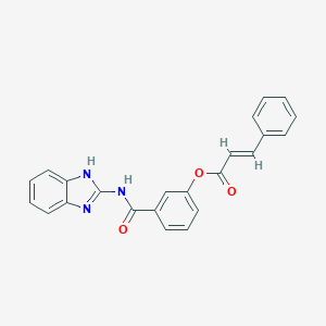 molecular formula C23H17N3O3 B311830 3-[(1H-benzimidazol-2-ylamino)carbonyl]phenyl 3-phenylacrylate 