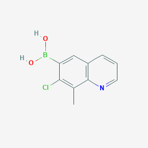 molecular formula C10H9BClNO2 B3118392 (7-氯-8-甲基喹啉-6-基)硼酸 CAS No. 2377605-68-8