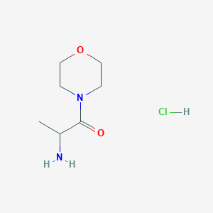 2-Amino-1-(morpholin-4-yl)propan-1-one hydrochloride