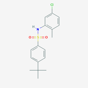 molecular formula C17H20ClNO2S B311889 4-tert-butyl-N-(5-chloro-2-methylphenyl)benzenesulfonamide 