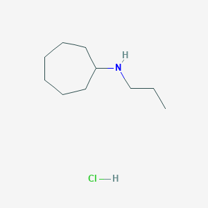 molecular formula C10H22ClN B3119023 N-Propylcycloheptanamine hydrochloride CAS No. 24549-40-4