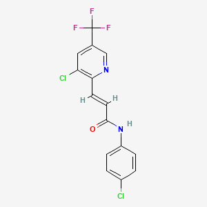 molecular formula C15H9Cl2F3N2O B3119083 (E)-N-(4-chlorophenyl)-3-[3-chloro-5-(trifluoromethyl)pyridin-2-yl]prop-2-enamide CAS No. 246022-41-3