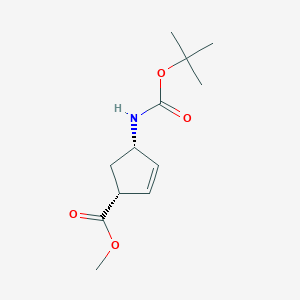 molecular formula C12H19NO4 B3119504 (1R,4S)-methyl 4-(tert-butoxycarbonylamino)cyclopent-2-enecarboxylate CAS No. 251326-99-5