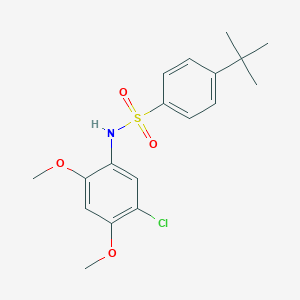 molecular formula C18H22ClNO4S B311979 4-tert-butyl-N-(5-chloro-2,4-dimethoxyphenyl)benzenesulfonamide 