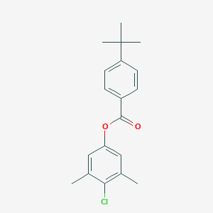 molecular formula C19H21ClO2 B311997 4-Chloro-3,5-dimethylphenyl 4-tert-butylbenzoate 