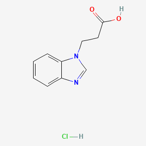 molecular formula C10H11ClN2O2 B3122257 3-(1H-苯并咪唑-1-基)丙酸盐酸盐 CAS No. 30163-88-3