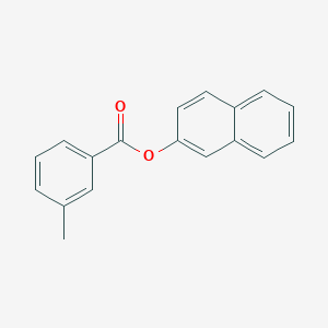 molecular formula C18H14O2 B312302 m-Toluic acid, 2-naphthyl ester 