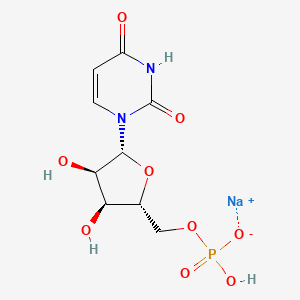 molecular formula C9H12N2NaO9P B3123662 钠((2R,3S,4R,5R)-5-(2,4-二氧代-3,4-二氢嘧啶-1(2H)-基)-3,4-二羟基四氢呋喃-2-基)甲基氢磷酸盐 CAS No. 3106-18-1