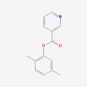 molecular formula C14H13NO2 B312542 2,5-Dimethylphenyl nicotinate 