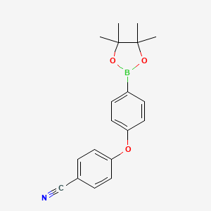 B3126038 4-[4-(4,4,5,5-Tetramethyl-1,3,2-dioxaborolan-2-yl)phenoxy]benzonitrile CAS No. 330792-94-4