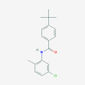 molecular formula C18H20ClNO B312690 4-tert-butyl-N-(5-chloro-2-methylphenyl)benzamide 