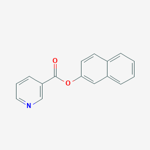 molecular formula C16H11NO2 B312741 2-Naphthyl nicotinate 