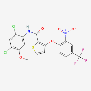 molecular formula C19H11Cl2F3N2O5S B3129147 N-(2,4-Dichloro-5-methoxyphenyl)-3-(2-nitro-4-(trifluoromethyl)phenoxy)-2-thiophenecarboxamide CAS No. 339015-67-7