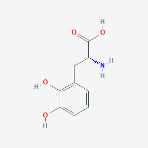 molecular formula C9H11NO4 B3129848 (R)-2-Amino-3-(2,3-dihydroxyphenyl)propanoic acid CAS No. 339186-39-9