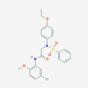molecular formula C23H23ClN2O5S B313026 N-(5-chloro-2-methoxyphenyl)-2-[4-ethoxy(phenylsulfonyl)anilino]acetamide 