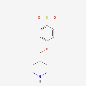 molecular formula C13H19NO3S B3131018 4-((4-(Methylsulfonyl)phenoxy)methyl)piperidine CAS No. 347873-46-5