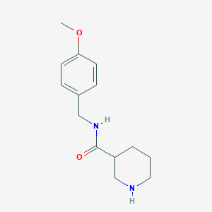 molecular formula C14H20N2O2 B3132924 N-[(4-Methoxyphenyl)methyl]piperidine-3-carboxamide CAS No. 380608-77-5