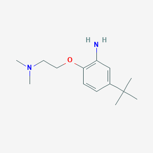 molecular formula C14H24N2O B3138359 {2-[4-(Tert-butyl)-2-aminophenoxy]-ethyl}dimethylamine CAS No. 453562-51-1
