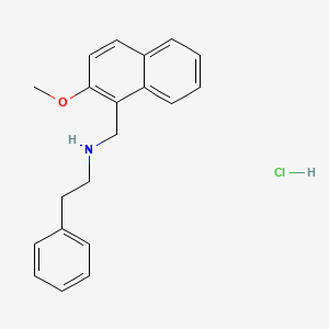 molecular formula C20H22ClNO B3138689 N-[(2-甲氧基-1-萘基)甲基]-2-苯乙胺盐酸盐 CAS No. 465535-60-8