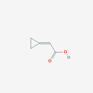 molecular formula C5H6O2 B3145163 2-Cyclopropylideneacetic acid CAS No. 5687-73-0