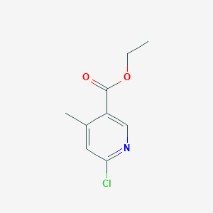 molecular formula C9H10ClNO2 B3145511 Ethyl 6-chloro-4-methylpyridine-3-carboxylate CAS No. 57591-95-4