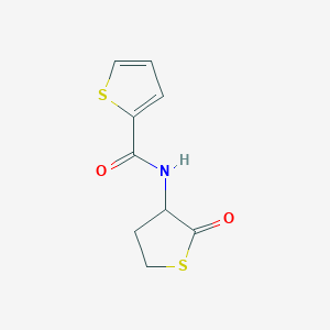 molecular formula C9H9NO2S2 B3145606 N-(2-oxothiolan-3-yl)thiophene-2-carboxamide CAS No. 57752-71-3