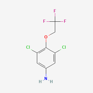 3,5-Dichloro-4-(2,2,2-trifluoroethoxy)aniline