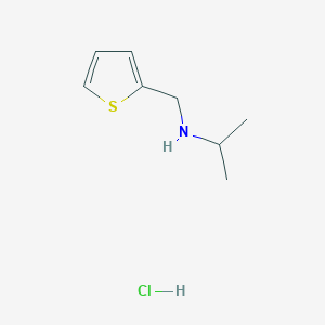 molecular formula C8H14ClNS B3146899 N-(Thien-2-ylmethyl)propan-2-amine hydrochloride CAS No. 610309-78-9