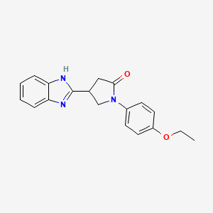 molecular formula C19H19N3O2 B3147130 4-(1H-苯并咪唑-2-基)-1-(4-乙氧基苯基)吡咯烷-2-酮 CAS No. 615281-70-4