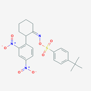 [4-(Tert-butyl)phenyl]({[2-(2,4-dinitrophenyl)cyclohexyliden]amino}oxy)dioxo-lambda~6~-sulfane