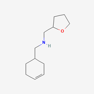 (Cyclohex-3-en-1-ylmethyl)(tetrahydrofuran-2-ylmethyl)amine