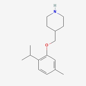 molecular formula C16H25NO B3153345 4-[(2-Isopropyl-5-methylphenoxy)methyl]piperidine CAS No. 756788-40-6