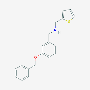 molecular formula C19H19NOS B315466 N-[3-(benzyloxy)benzyl]-N-(2-thienylmethyl)amine 