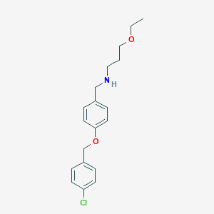 molecular formula C19H24ClNO2 B315479 N-{4-[(4-chlorobenzyl)oxy]benzyl}-N-(3-ethoxypropyl)amine 