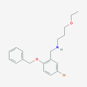 molecular formula C19H24BrNO2 B315485 N-[2-(benzyloxy)-5-bromobenzyl]-N-(3-ethoxypropyl)amine 