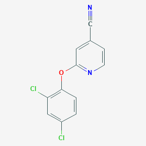 molecular formula C12H6Cl2N2O B3155822 2-(2,4-Dichlorophenoxy)pyridine-4-carbonitrile CAS No. 81249-46-9