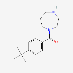 molecular formula C16H24N2O B3155995 1-(4-Tert-butylbenzoyl)-1,4-diazepane CAS No. 815651-12-8