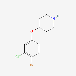 molecular formula C11H13BrClNO B3156059 4-(4-溴-3-氯-苯氧基)-哌啶 CAS No. 817187-44-3