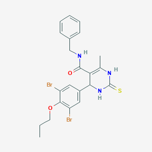 molecular formula C22H23Br2N3O2S B315711 N-benzyl-4-(3,5-dibromo-4-propoxyphenyl)-6-methyl-2-thioxo-1,2,3,4-tetrahydro-5-pyrimidinecarboxamide 