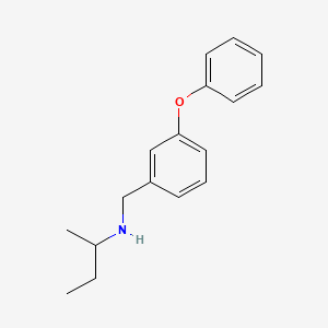 molecular formula C17H21NO B3157974 (丁-2-基)[(3-苯氧基苯基)甲基]胺 CAS No. 854321-28-1
