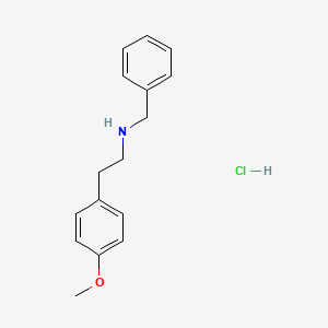 molecular formula C16H20ClNO B3158073 N-苄基-2-(4-甲氧基苯基)乙胺盐酸盐 CAS No. 855383-29-8