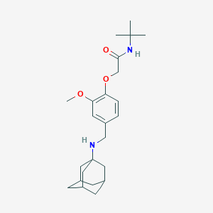 molecular formula C24H36N2O3 B315824 2-{4-[(1-adamantylamino)methyl]-2-methoxyphenoxy}-N-(tert-butyl)acetamide 