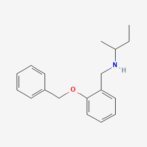 molecular formula C18H23NO B3159356 {[2-(Benzyloxy)phenyl]methyl}(butan-2-yl)amine CAS No. 861408-24-4