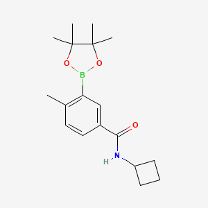molecular formula C18H26BNO3 B3159442 N-cyclobutyl-4-methyl-3-(4,4,5,5-tetramethyl-1,3,2-dioxaborolan-2-yl)benzamide CAS No. 861905-20-6