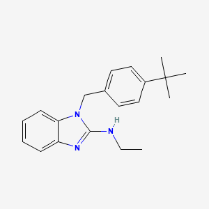 molecular formula C20H25N3 B3160565 N-{1-[4-(tert-butyl)benzyl]-1H-1,3-benzimidazol-2-yl}-N-ethylamine CAS No. 866131-99-9