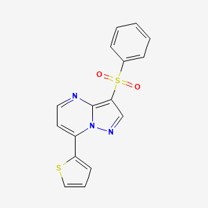 molecular formula C16H11N3O2S2 B3160581 3-(Phenylsulfonyl)-7-(2-thienyl)pyrazolo[1,5-a]pyrimidine CAS No. 866132-18-5