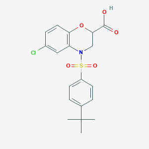 molecular formula C19H20ClNO5S B3160600 4-{[4-(tert-butyl)phenyl]sulfonyl}-6-chloro-3,4-dihydro-2H-1,4-benzoxazine-2-carboxylic acid CAS No. 866134-75-0
